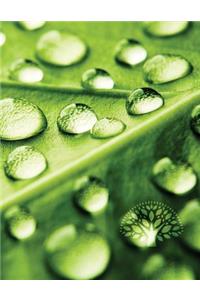 Dew Drop Leaf Sketchbook