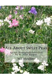 All About Sweet Peas