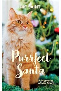 Purrfect Santa