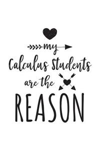 My Calculus Students Are The Reason
