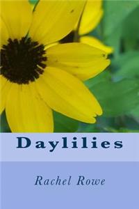 Daylilies