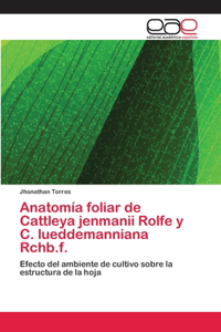 Anatomía foliar de Cattleya jenmanii Rolfe y C. lueddemanniana Rchb.f.