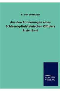 Aus den Erinnerungen eines Schleswig-Holsteinischen Offiziers