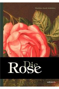 Die Rose