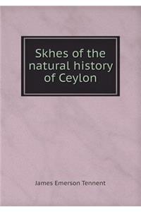 Skhes of the natural history of Ceylon