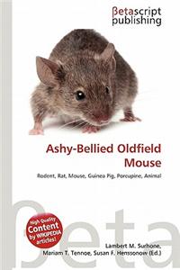 Ashy-Bellied Oldfield Mouse