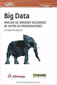 BIG DATA (Spanish Edition)