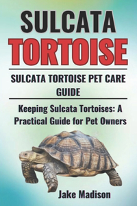 Sulcata Tortoise