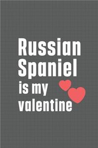 Russian Spaniel is my valentine