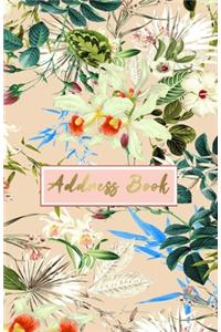 Address Book