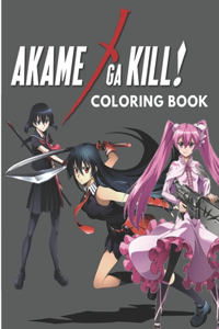 Akame Ga Kill Coloring Book: Coloring Book for Kids And Adults, Anime Coloring Book