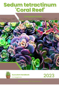 Sedum tetractinum 'Coral Reef'