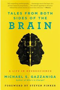 Tales from Both Sides of the Brain