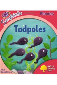 Oxford Reading Tree: Stage 4: Songbirds: Tadpoles