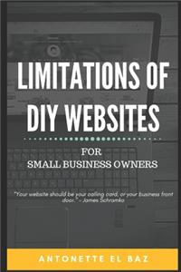 Limitations of DIY Websites