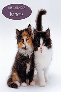 2018 Calendar: Kittens