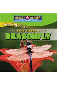 The Life Cycle of a Dragonfly