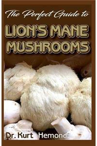 The Perfect Guide to Lion's Mane Mushrooms