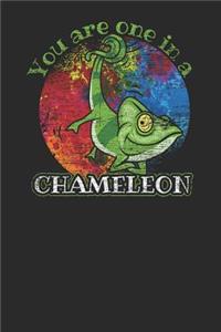 You Are One In A Chameleon