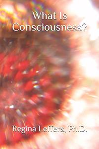 What Is Consciousness?