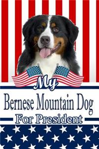 My Bernese Mountain Dog for President