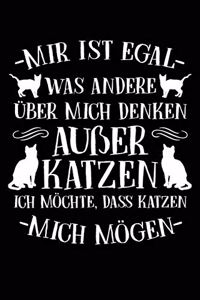 Katzen Sollen Mich Gut Finden