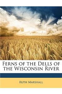 Ferns of the Dells of the Wisconsin River