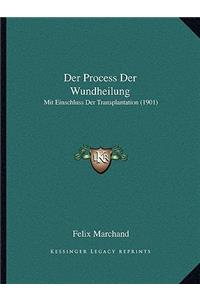 Der Process Der Wundheilung: Mit Einschluss Der Transplantation (1901)