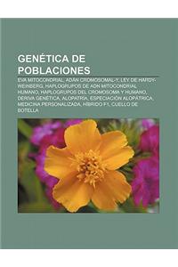 Genetica de Poblaciones: Eva Mitocondrial, Adan Cromosomal-Y, Ley de Hardy-Weinberg, Haplogrupos de Adn Mitocondrial Humano