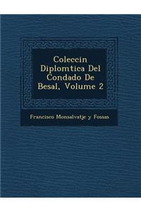 Colecci N Diplom Tica del Condado de Besal, Volume 2