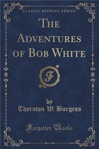 The Adventures of Bob White (Classic Reprint)