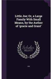 Little Joe; Or, a Large Family With Small Means, by the Author of 'gracie and Grant'