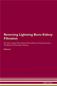 Reversing Lightning Burn: Kidney Filtration The Raw Vegan Plant-Based Detoxification & Regeneration Workbook for Healing Patients. Volume 5