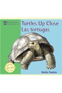 Turtles Up Close / Las Tortugas