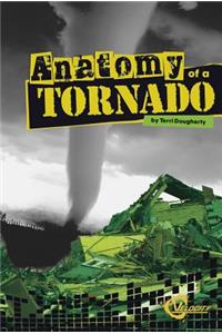 Anatomy of a Tornado