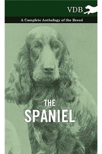 Spaniel - A Complete Anthology of the Breed