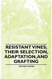 Resistant Vines; their Selection, Adaptation, and Grafting