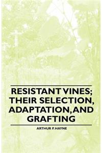 Resistant Vines; Their Selection, Adaptation, and Grafting