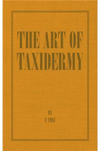 The Art of Taxidermy