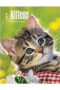 Kittens 2018 Calendar