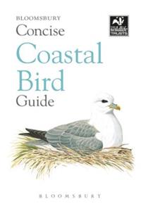 Concise Coastal Bird Guide