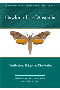 Hawkmoths of Australia