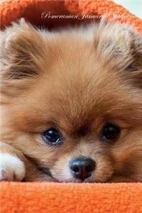 Pomeranian January Notebook Pomeranian Record, Log, Diary, Special Memories, To Do List, Academic Notepad, Scrapbook & More