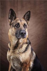 The German Shepherd Dog Journal
