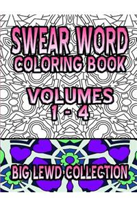 Swear Word Coloring Book