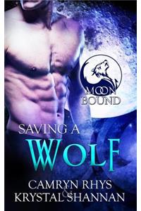 Saving a Wolf