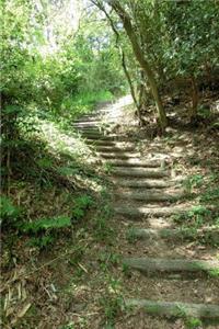 Stairway in the Forest Journal