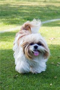 Precious Shih Tzu Dog Journal
