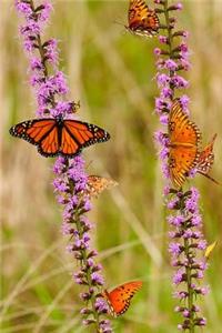 A Monarch Butterly in a Meadow on a Blazing Star Wildflower Journal