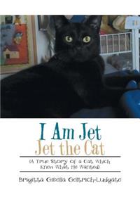 I Am Jet Jet the Cat